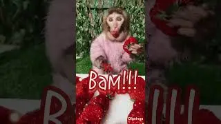 Доброе утро!!!☀️