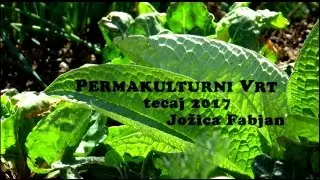 Permakulturni Vrt - Jožica Fabjan