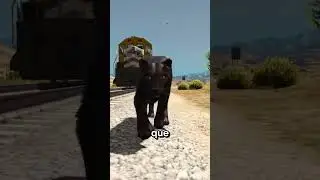¿ Qué Animales corren mas que el Tren en GTA ? 