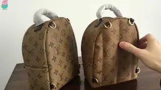 LV Louis Vuitton Palm Springs Mini Backpack Comparison By Steven
