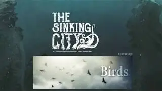 The Sinking City: Featuring Birds
