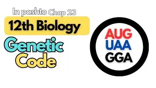 Genetic Code | Class 12th Biology | Chapter 23