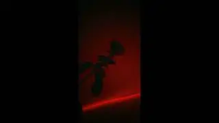 Chill Dark Type Beat "2AM" - Dark Type Beat Instrumental 2023