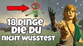 18 Dinge die DU über Zelda tears of the kingdom noch nicht wusstest!