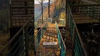 Вауууу! Как же красиво в Абхазии! Не верится что это правда! 😍👍