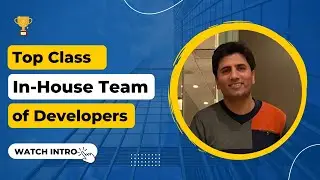 Top-Notch Web Developers for Hire | Vizz Web Solutions