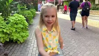 Чудо сад в Дубае. Миллионы цветов в пустыне. Dubai Miracle Garden.