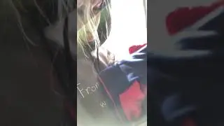 Камчатка банные