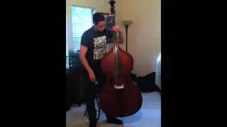 test-Linear Fantasia model doublebass- Obligato strings