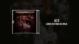 Ac B - LOBOS VESTIDOS DE OVEJA (Visualizer) PENSAMIENTOS (calle y amor)