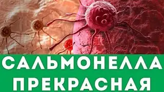 Рак излечим? Открытие ученых