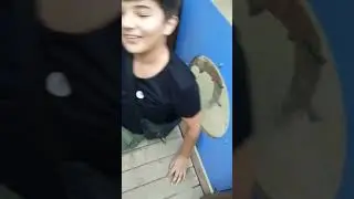 *типичныи обзор улицы*