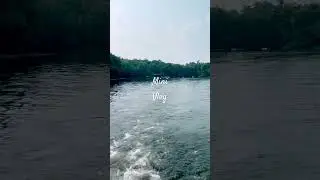 Spend a day at the lake with me! #minivlog #summer #shorts