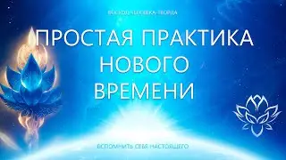 Главная практика Нового Времени (описание)