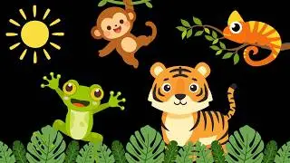 Baby Sensory Video – Newborn Visual Stimulation – Sensory Videos for Babies - Tummy Time 