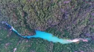 The Amazon second-longest river in the world| amazon river|