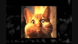 Make Videos With Photos