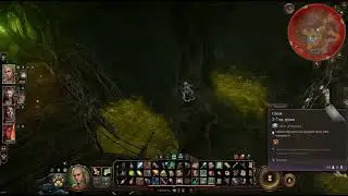 Baldur's Gate 3 Как пройти ядовитое облако?