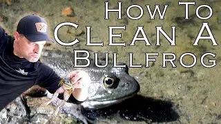 How to clean a frog! Easy way to skin & process a bullfrog! Ready to cook in seconds!