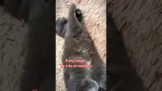 В 5 утра😂🤷 