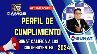 🚨Perfil de Cumplimiento SUNAT 2024 | SUNAT califica a los contribuyentes con notas de A, B, C, D, E