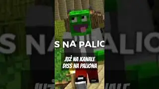 DISS NA PALIONA