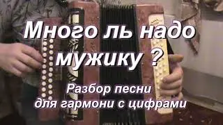 МНОГО ЛЬ НАДО МУЖИКУ ? ( гармонь )
