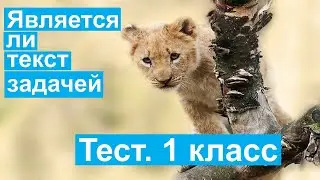Тест. Задачи с лишними или недостающими данными. Математика 1 класс. 