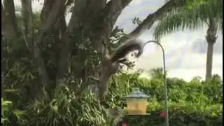 Spunky 🐿️🤣