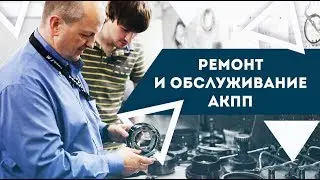 Как убить коробку АКПП на пробеге 80 тыс.км. Последствия поздней замены масла.