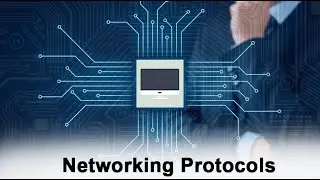 network protocol 1