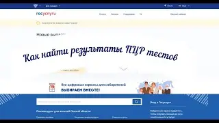 ПЦР тест на госуслугах – как найти и скачать – инструкция