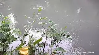 Рыбалка В Ташкенте)