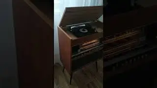 Ригонда 102