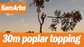 Спил и обрезка деревьев в Самаре #Арбористика [SamArbo]