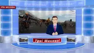 Пилотная программа 