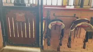 Kodra E Kuajve | (Horses' Hill) Agritourism | Durrës, Albania | May 2022 | 4K