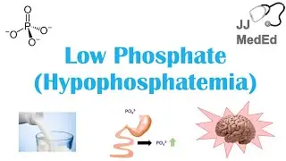 Low Phosphate (Hypophosphatemia): Causes, Symptoms, Treatment | & Role of Phosphate, Dietary Sources