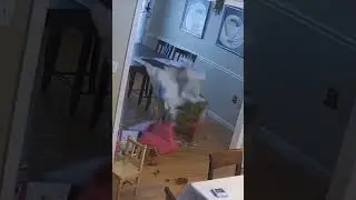 Навёл порядок 🤯