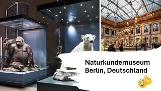 Naturkunden Museum Berlin