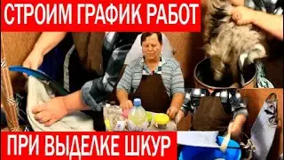 График работ при выделке шкур в домашних условиях