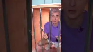 Влад А4. Номер телефона клоуна