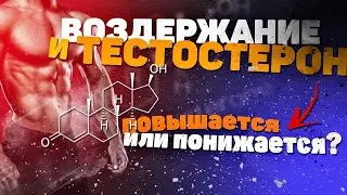 ВОЗДЕРЖАНИЕ И ТЕСТОСТЕРОН | Повышается или понижается? | Науч. исследования | Просвещенный