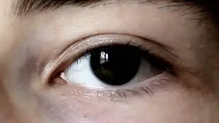 12 Фактов о Глазах, Которые Вас Поразят