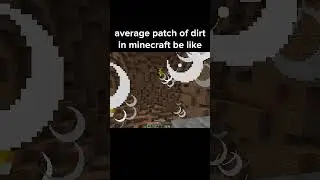 You Find Dirt in Minecraft Be Like