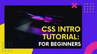 LEARN CSS IN 10 MINUTES | CSS TUTORIAL FOR BEGINNERS | EASY AND UPDATED 2024!