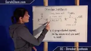 Strecker Synthesis