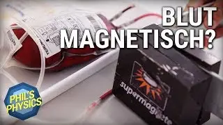 Magnetic Blood? The Experiment | Phil's Physics