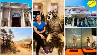 American Museum of Natural History || Ittadi Garden & Grill New York