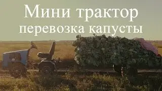 Мини трактор ( перевозка капусты)